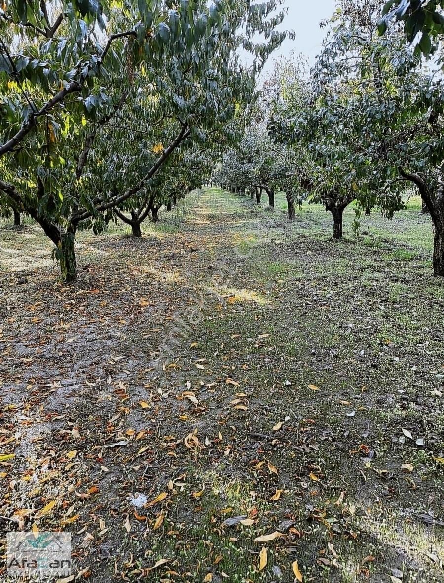 Bursa Yeniceabat Okullar Bölgesi Arkası 5173 M2 Mükemmel Arazi! - Görsel 14