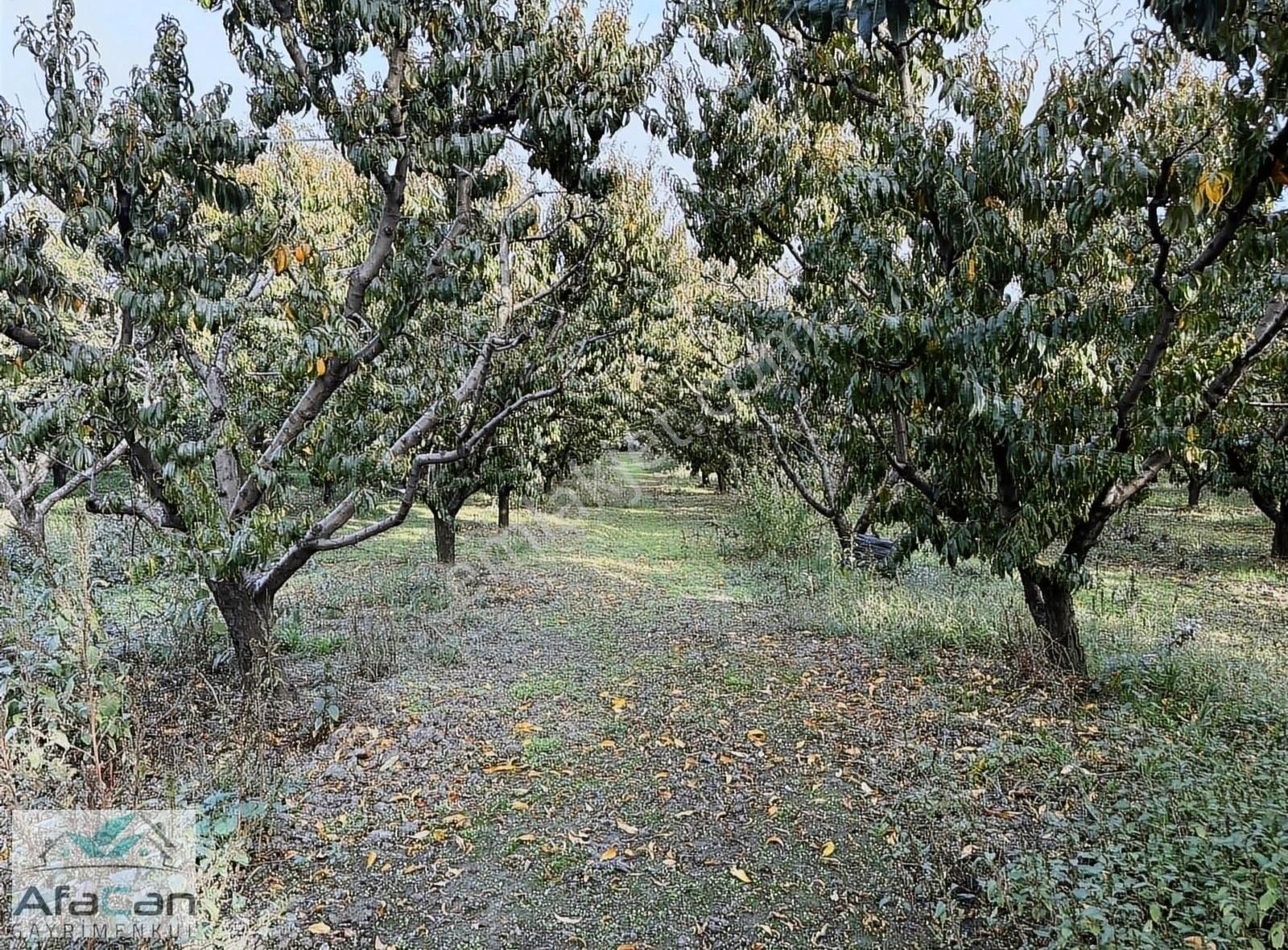 Bursa Yeniceabat Okullar Bölgesi Arkası 5173 M2 Mükemmel Arazi! - Görsel 4