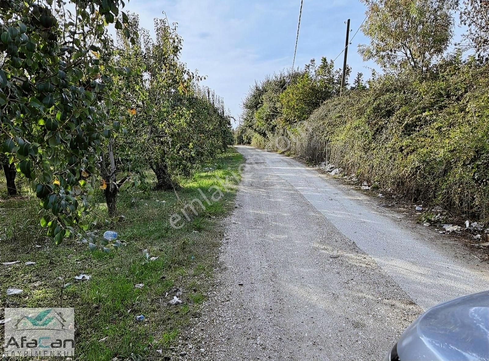 Bursa Yeniceabat Okullar Bölgesi Arkası 5173 M2 Mükemmel Arazi! - Görsel 10