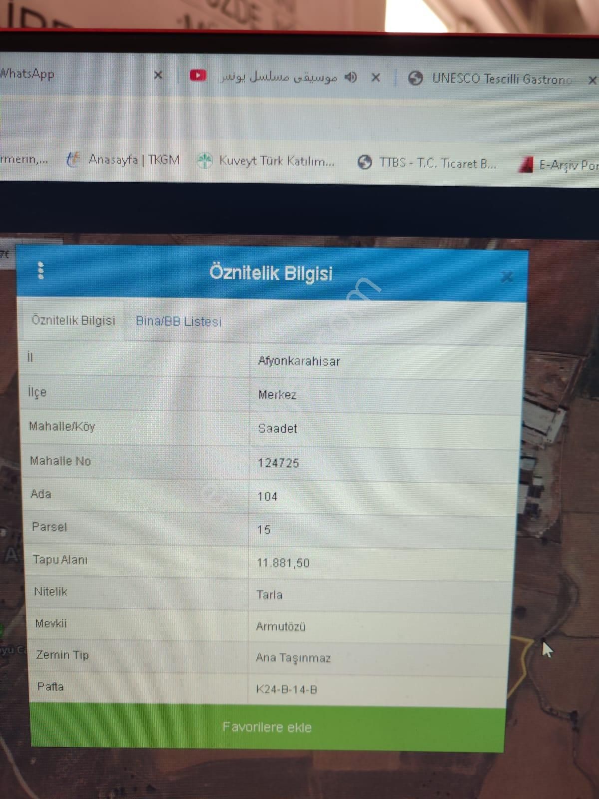 Kütahya Yoluna Yakın Tarla - Görsel 4