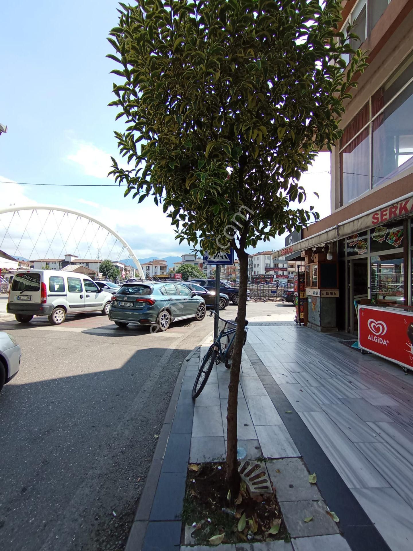 Düzce Merkez De Devren Satılık Köşe Dükkan - Görsel 27