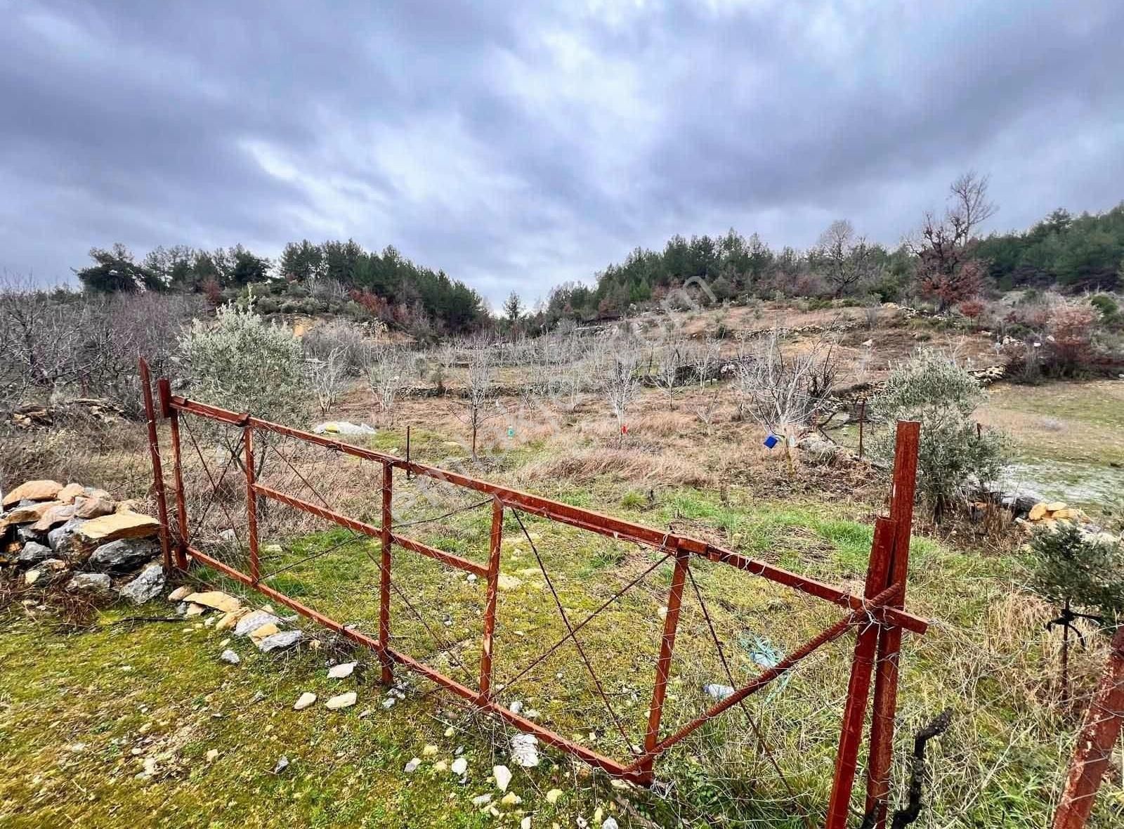 Alanya Güzelbağ Satılık Bağ & Bahçe Ekç Emlaktan Satılık 5.500 M2 Ceviz Bahçesi