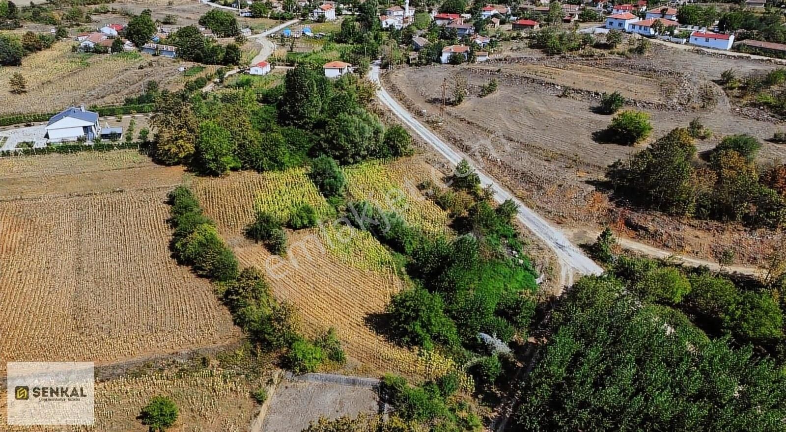 Kırklareli Merkez Beypınar Köyü Satılık Konut İmarlı Şenkal Gayrimenkulden Asfalt Yol Üzerinde 1033 M² Tarla