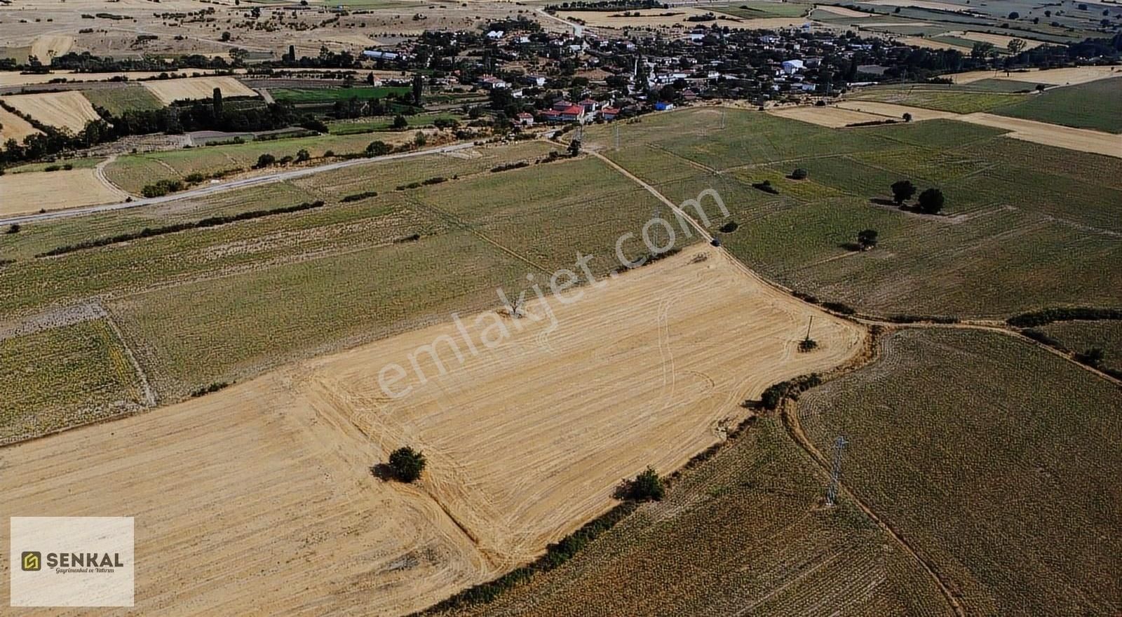 Kırklareli Merkez Karıncak Köyü Satılık Tarla Şenkal Gayrimenkul'den Karıncak Köyünde Satılık Kupon Tarla