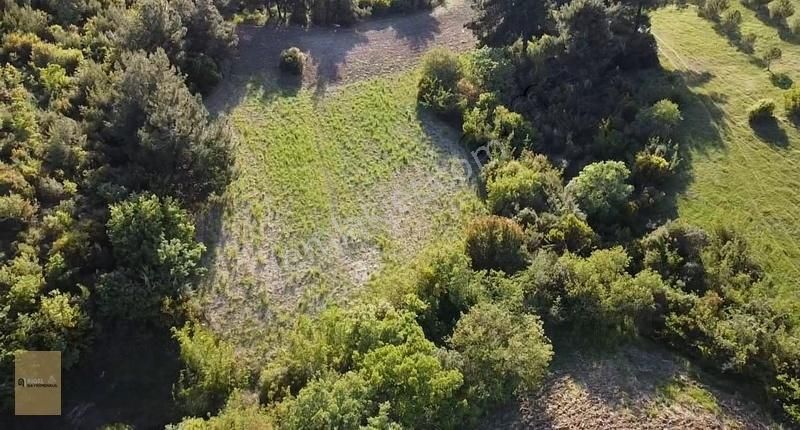 Çanakkale Merkez Aşağıokçular Köyü Satılık Tarla Satılık Aşağıokçular Köyü Fırsat Fiyatta Tarla