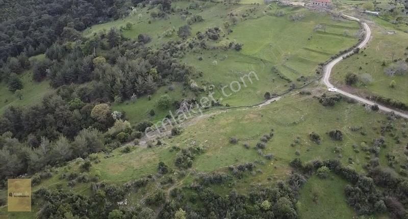 Çanakkale Merkez Serçiler Köyü Satılık Tarla Çanakkale Merkez Serçiler Köyü Satılık 2 Dönüm Fırsat Tarla