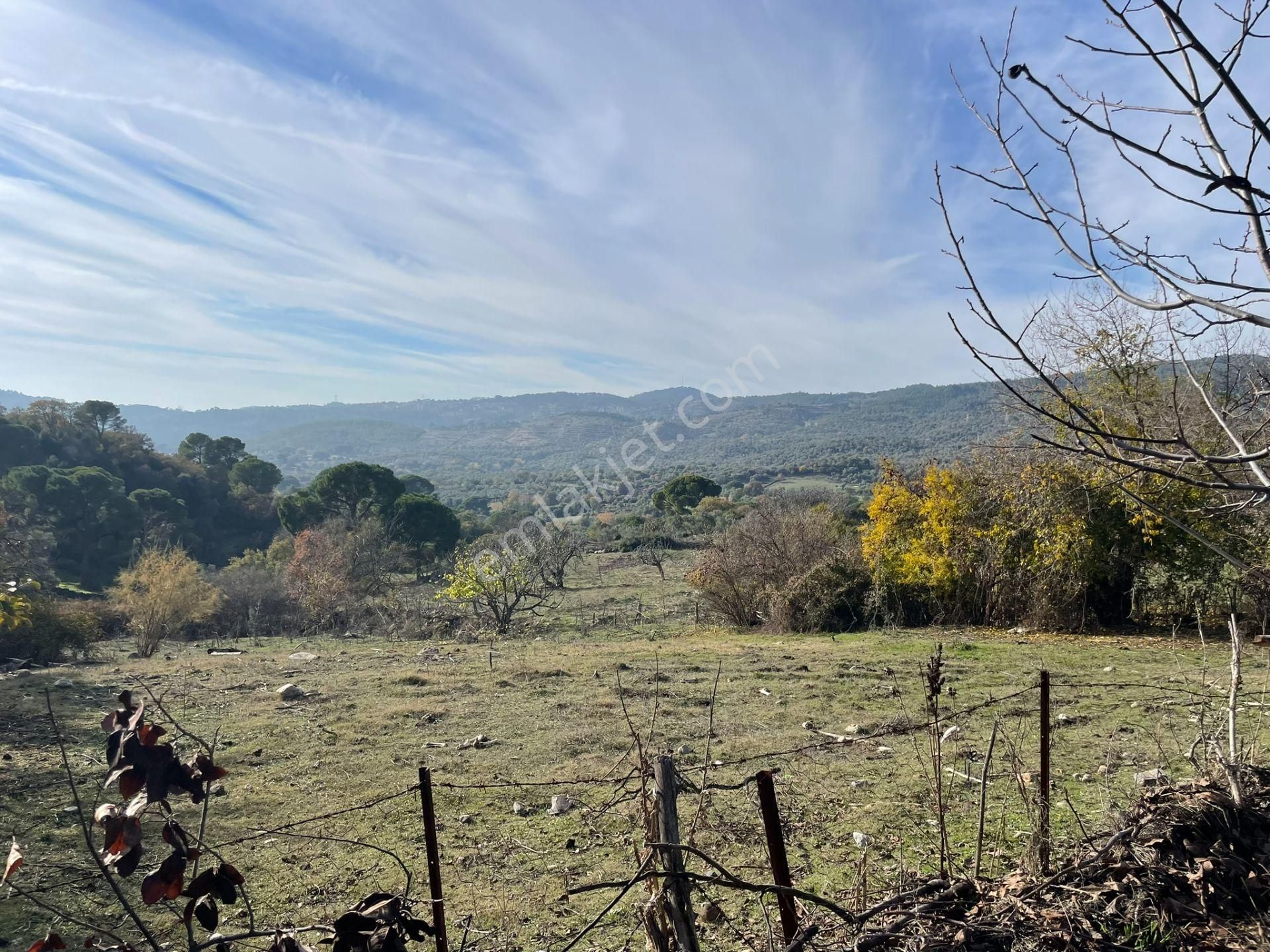 Koçarlı Çeşmeköyde Köy Evi Ve Bahçe İki Tapu Tek Fiyat - Görsel 10