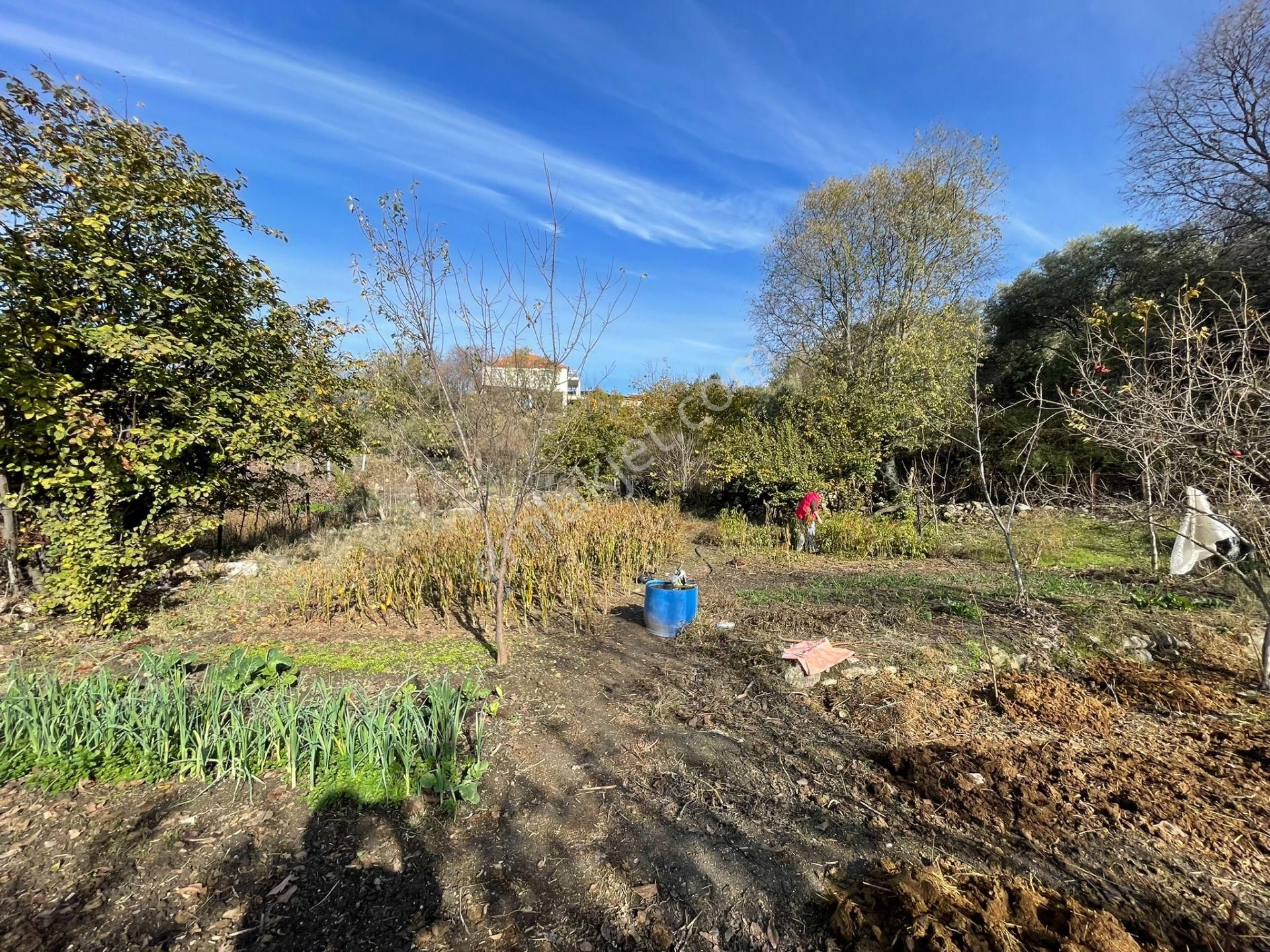 Koçarlı Çeşmeköyde Köy Evi Ve Bahçe İki Tapu Tek Fiyat - Görsel 9
