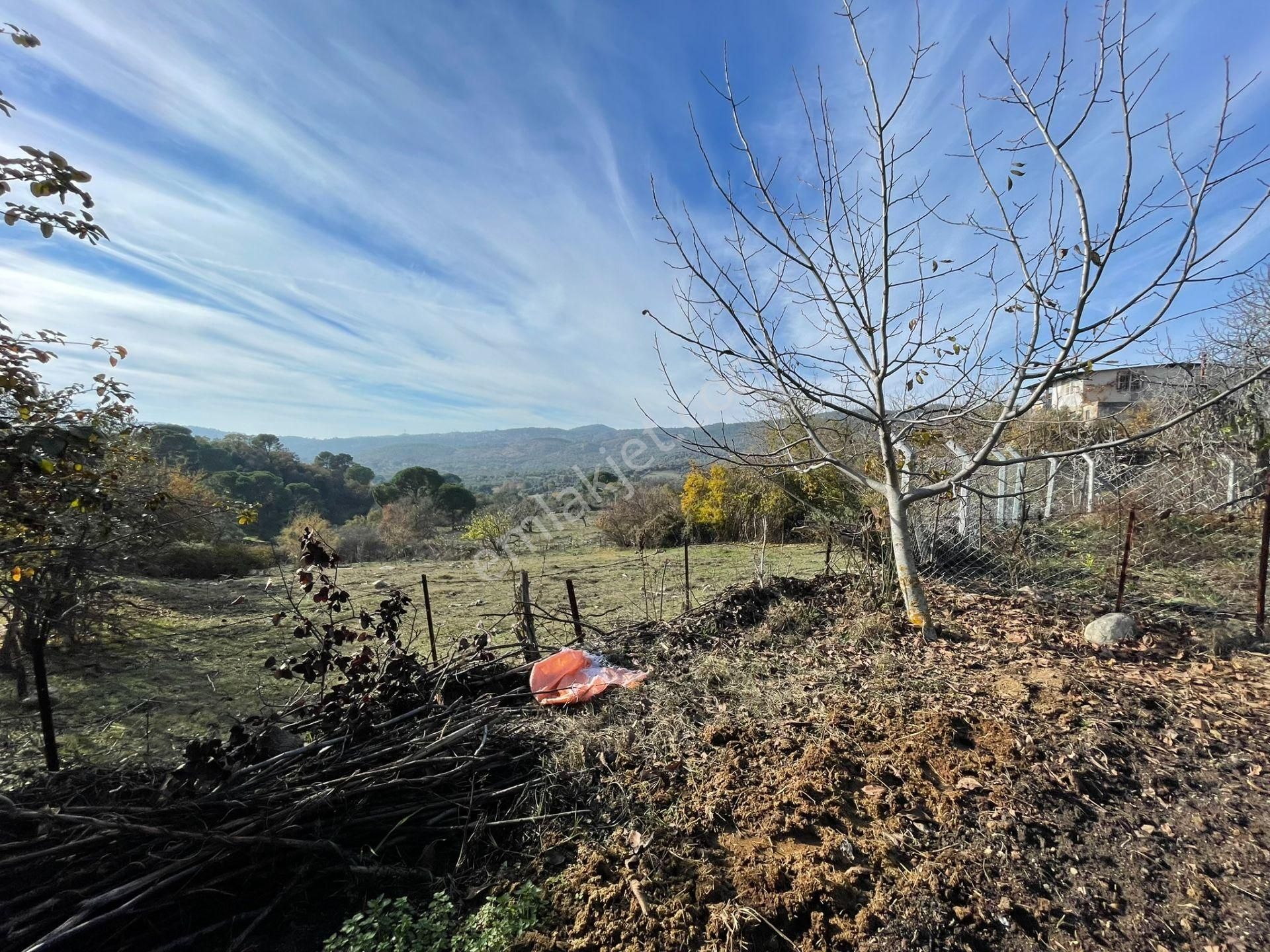 Koçarlı Çeşmeköyde Köy Evi Ve Bahçe İki Tapu Tek Fiyat - Görsel 6
