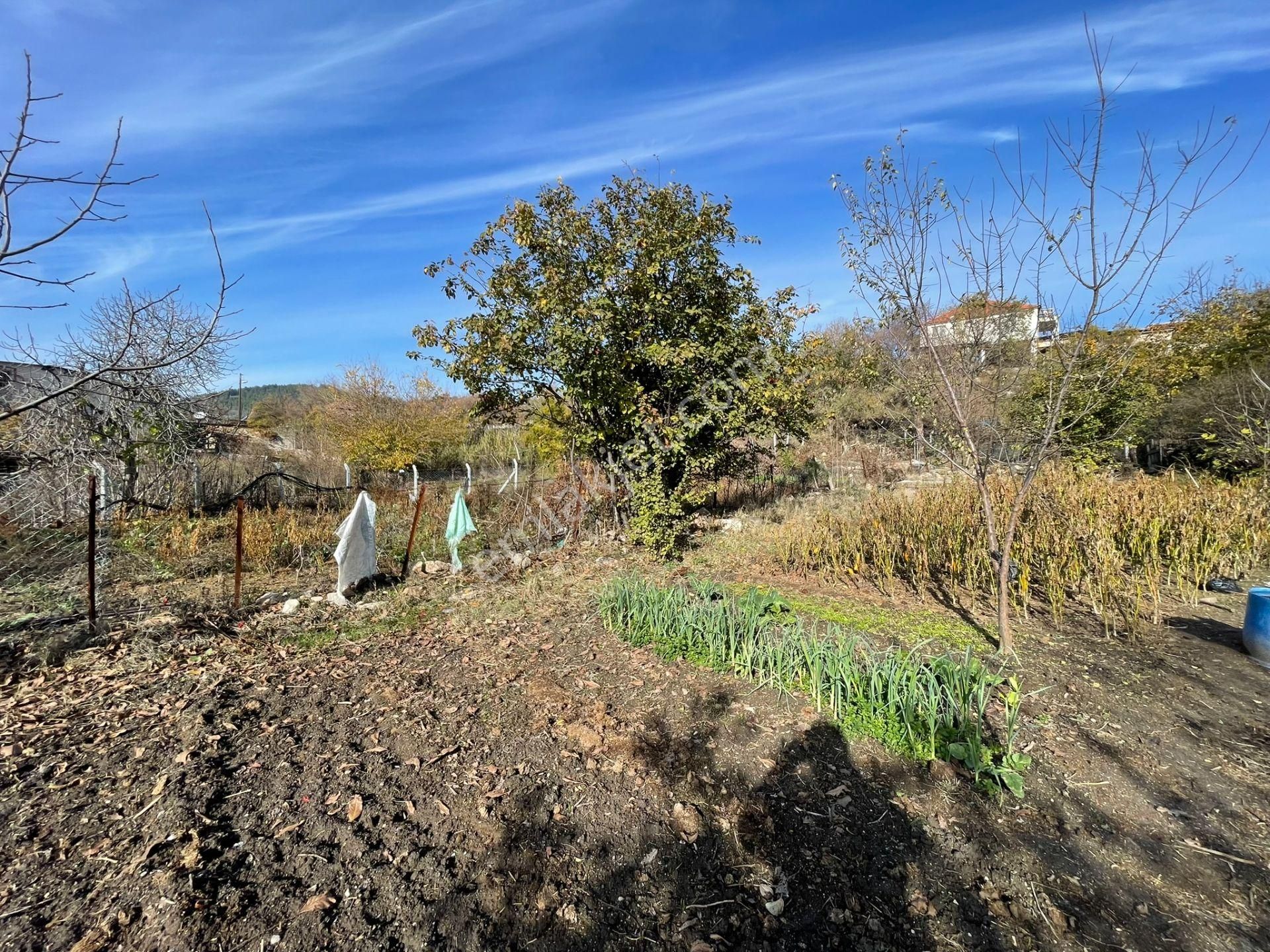 Koçarlı Çeşmeköyde Köy Evi Ve Bahçe İki Tapu Tek Fiyat - Görsel 7