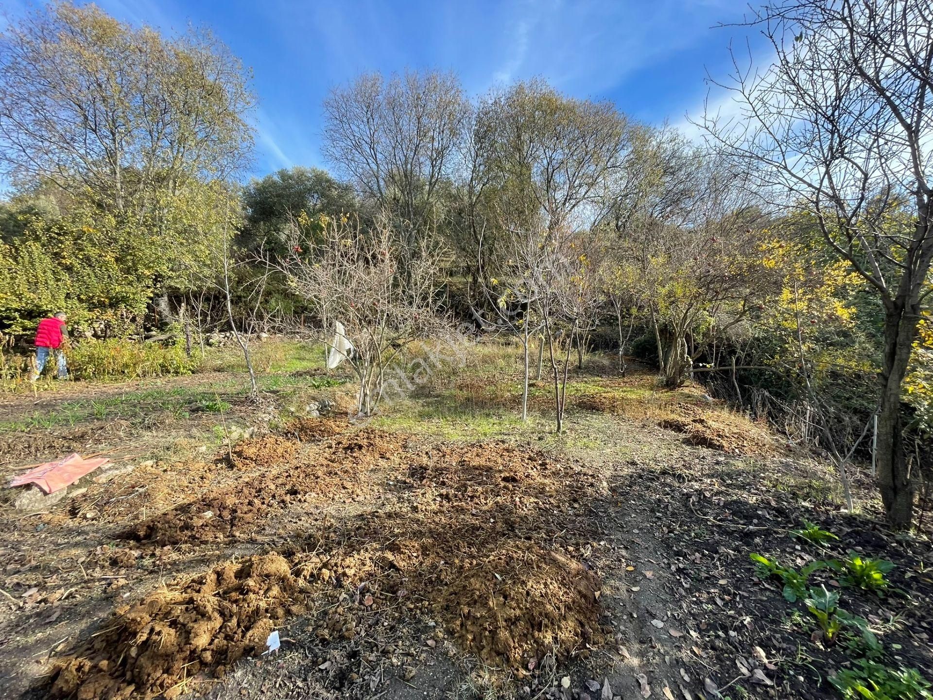 Koçarlı Çeşmeköyde Köy Evi Ve Bahçe İki Tapu Tek Fiyat - Görsel 8