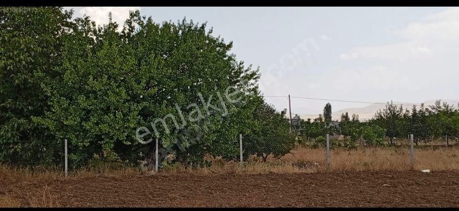 Elazığ Merkez Sünköy Köyü (Merkez) Satılık Konut İmarlı Coldwell Banker Dan Elazığ Da Yatırım İçin Fırsat Satılık Arsa !!