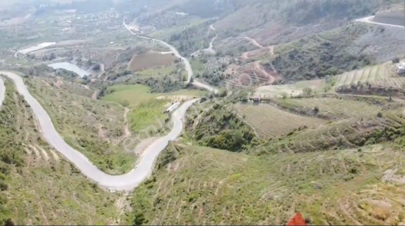 Toroslar Musalı Satılık Bağ & Bahçe Derya Emlak’tan Toroslar Musalıda Yola Cepheli Satılık Bahçe