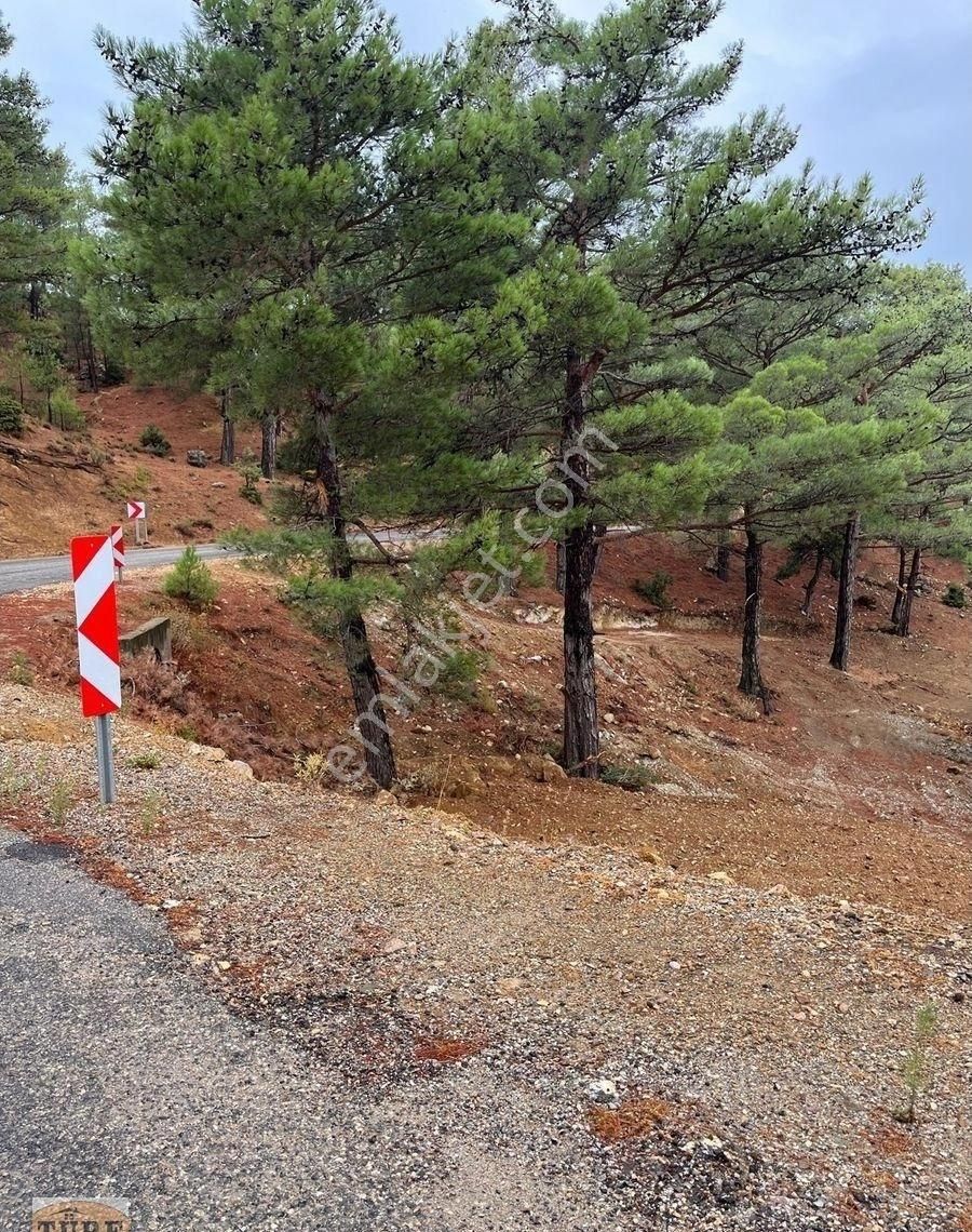 Türe Gayrimenkulden Gülnar Dedelerde Satılık Tarla - Görsel 4