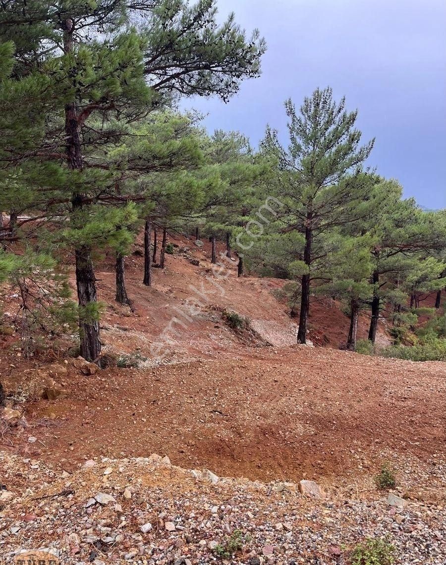 Gülnar Dedeler Satılık Tarla Türe Gayrimenkulden Gülnar Dedelerde Satılık Tarla