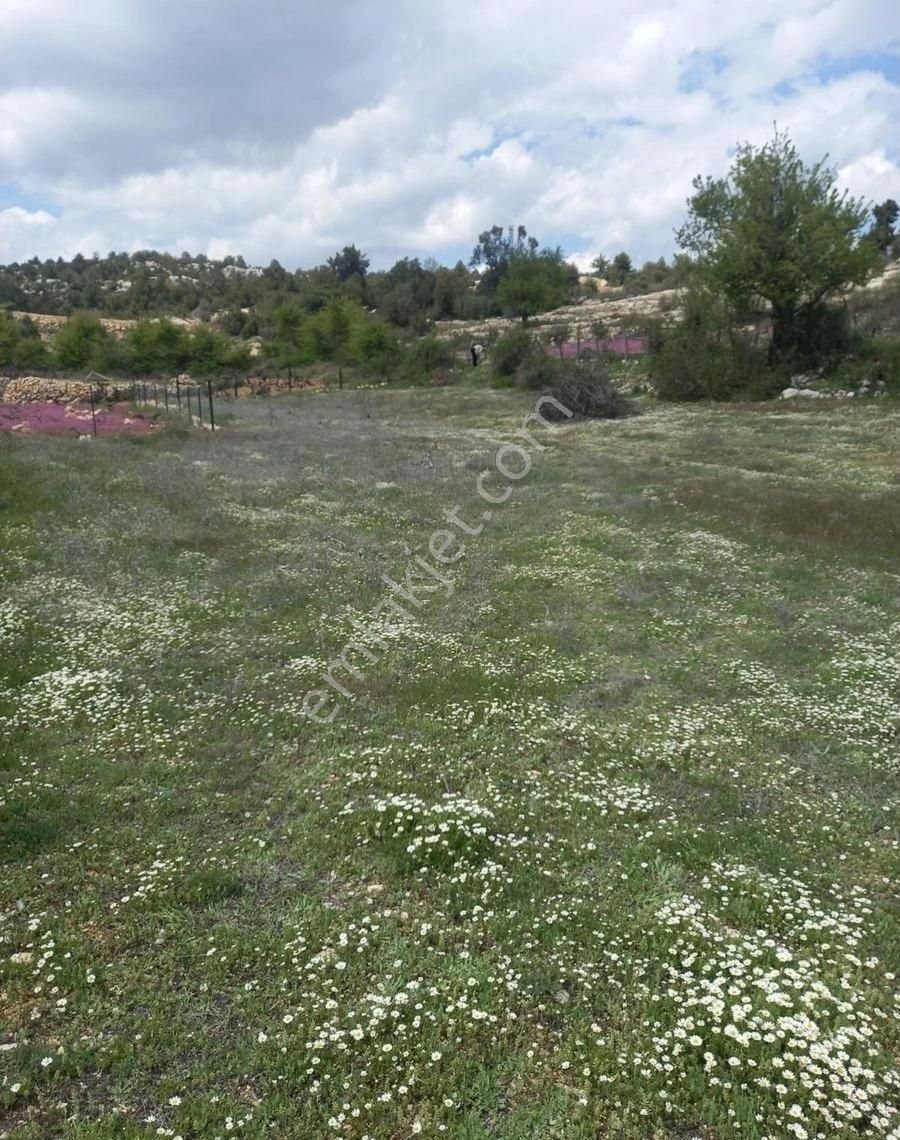 Silifke Uzuncaburç Satılık Tarla Türe Gayrimenkulden Silifke Uzuncaburçta Satılık Tarla