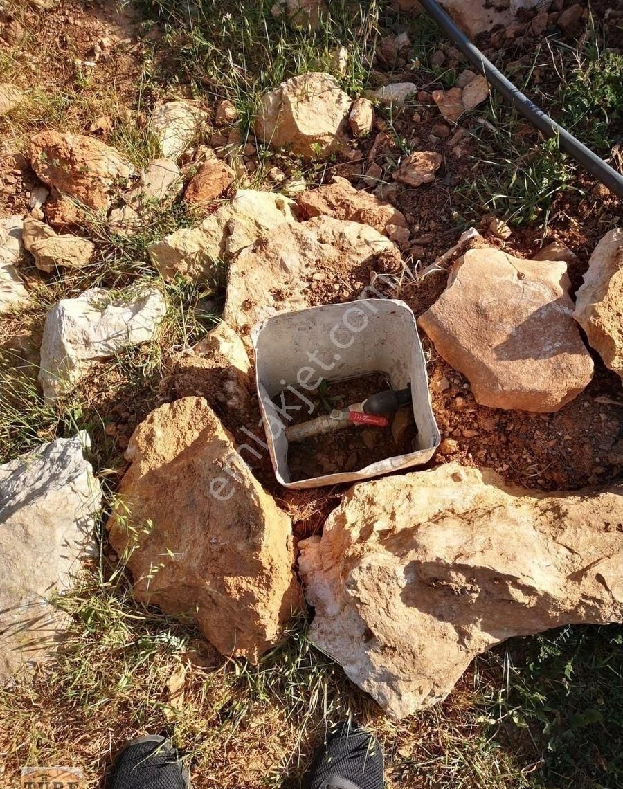 Silifke İmamuşağı Satılık Tarla Türe Gayrimenkulden Sikifke Boğsak Koyu Manzaralı Satılık Tarla