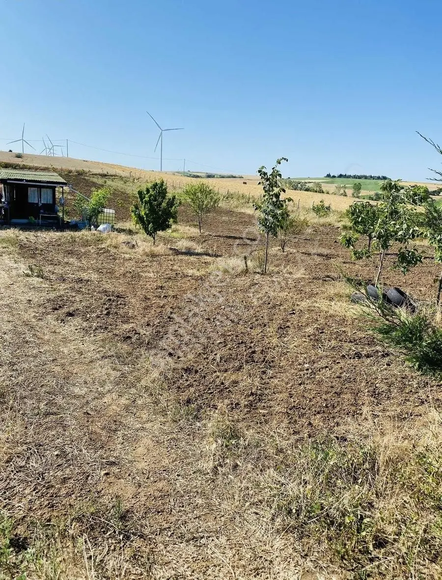 Muratlı Balabanlıda İmara 450 Metre 4545m2 Tarla - Görsel 3