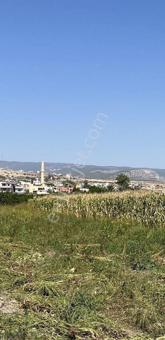 Silifke Ulugöz Satılık Tarla Türe Gayrimenkulden Silifke Ulugözde Satılık Tarla