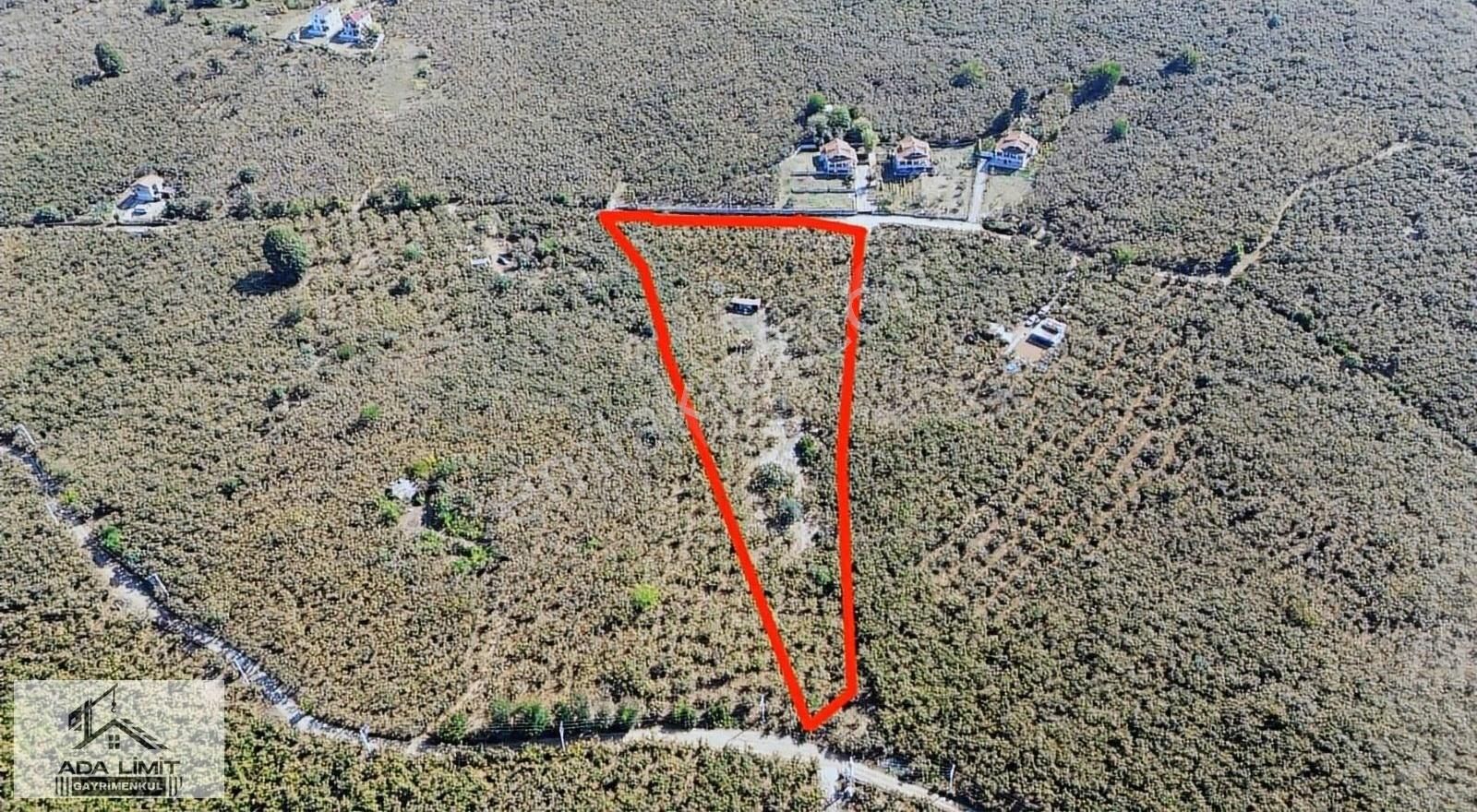 Kocaali Karşı Satılık Tarla Kocaali Merkez'de Deniz Manzaralı 10.758m² Arazi!