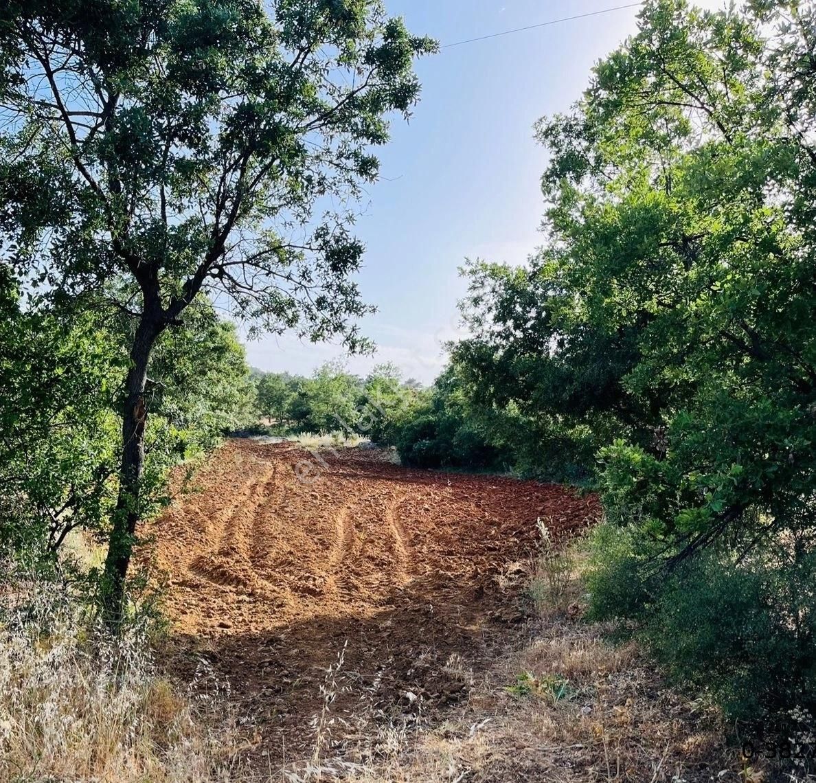 Silifke Balandız Satılık Tarla Türe Gayrimenkulden Silifke Cumhuriyet Alanı Yaylasında Satılık Tarla