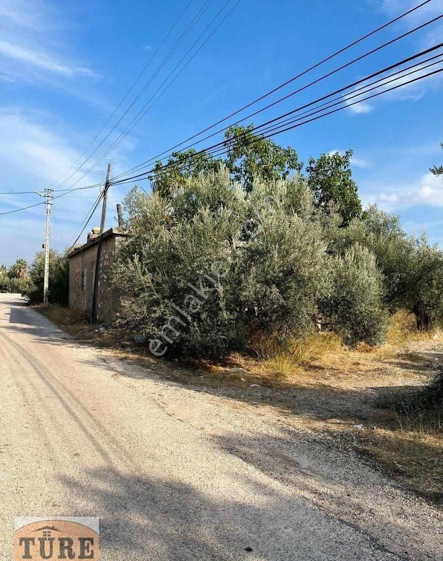 Silifke Taşucu Satılık Konut İmarlı Türe Gayrimenkulden Taşucunda Turizim İmarlı Arsa