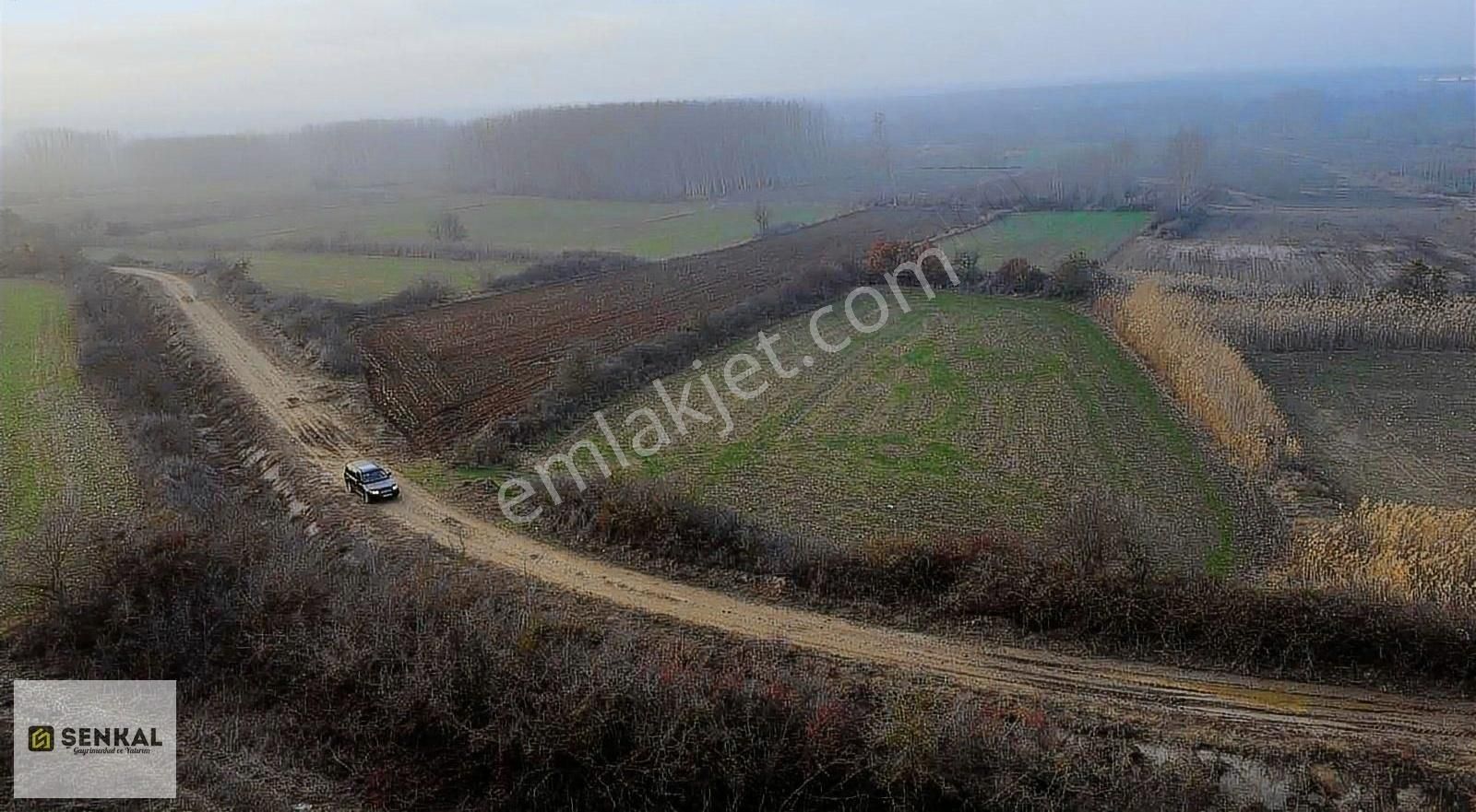 Kırklareli Merkez Koyunbaba Köyü Satılık Tarla Şenkal Gayrimenkul'den Koyunbaba Köyünde Kanal Dibi Tarla