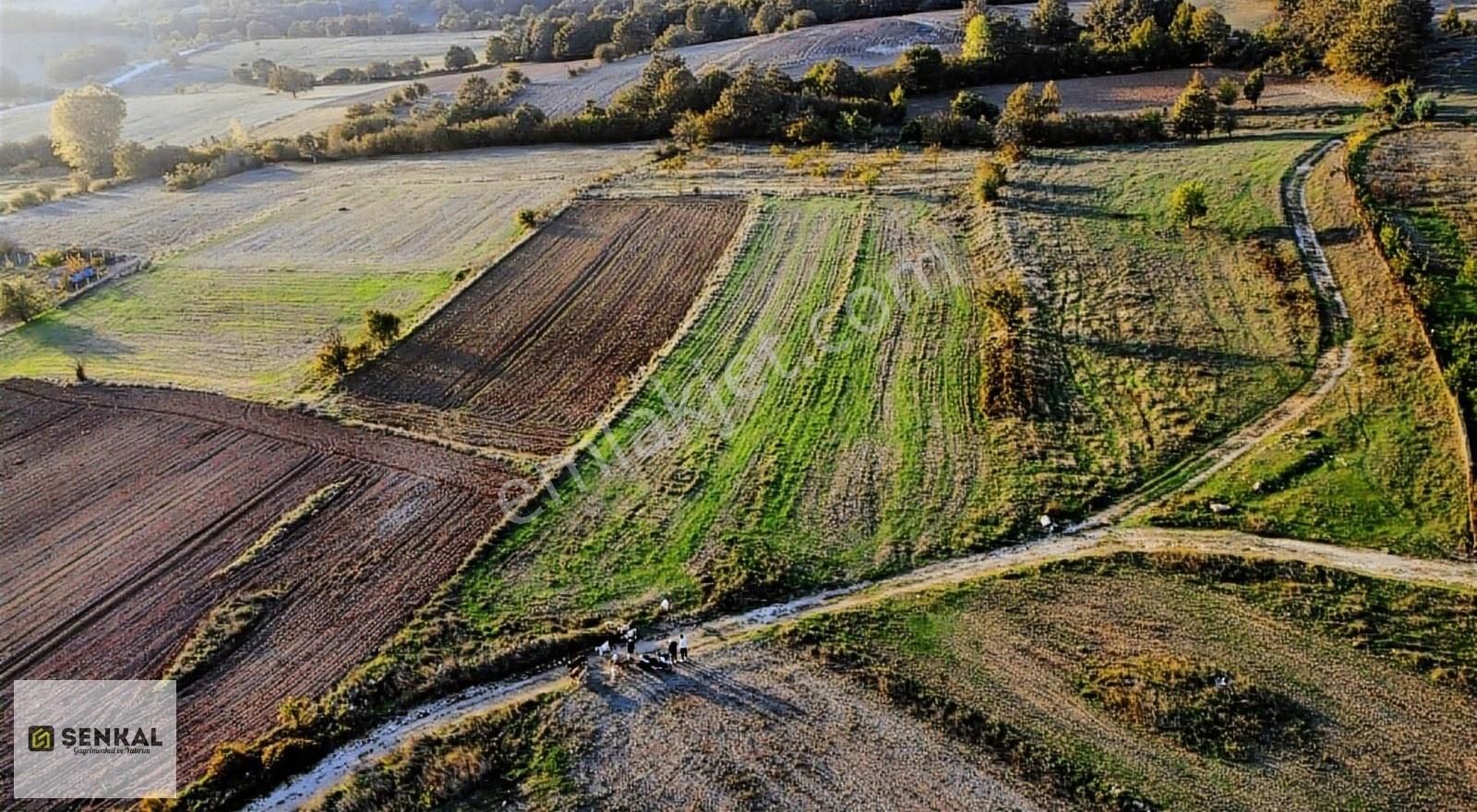 Kırklareli Merkez Çukurpınar Köyü Satılık Tarla Şenkal Gayrimenkul'den Çukurpınar'da İmar Sınırında Arazi