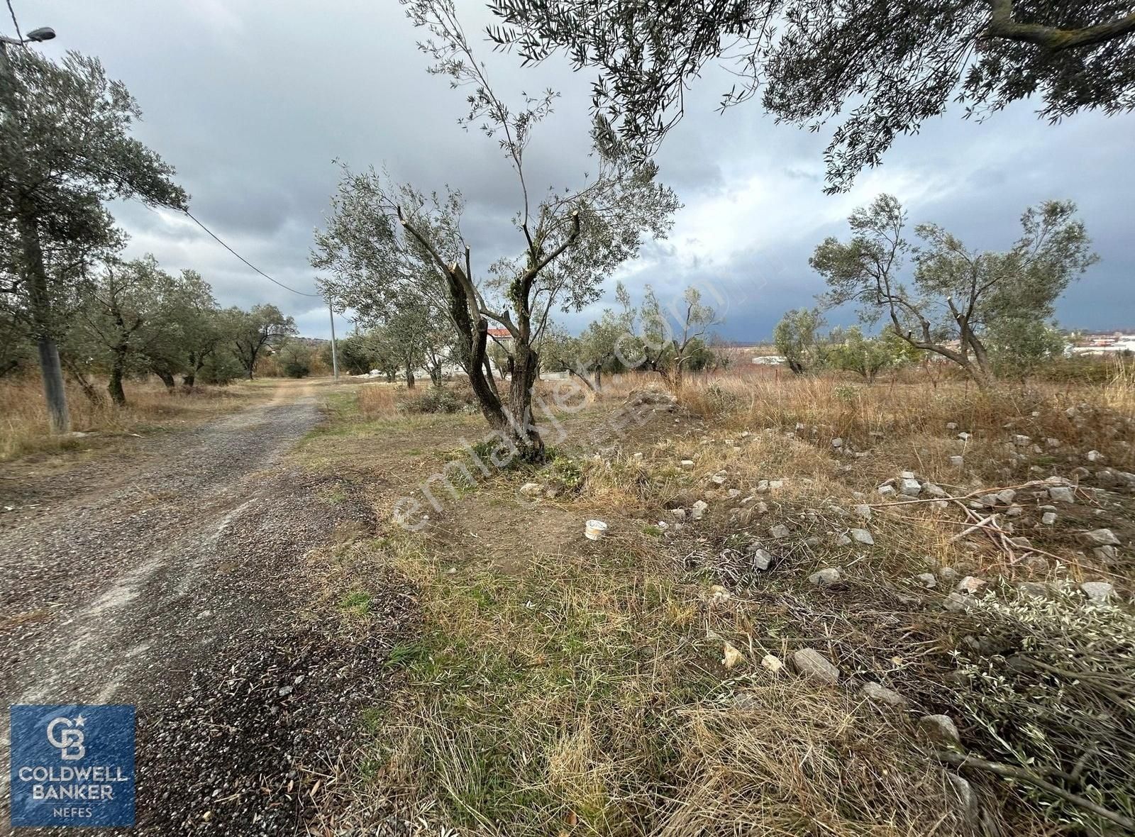 Lapseki Umurbey Bld. (Umurbey Merkez) Satılık Villa İmarlı Çanakkale Umurbey Projesi Hazır İmarlı Arsa