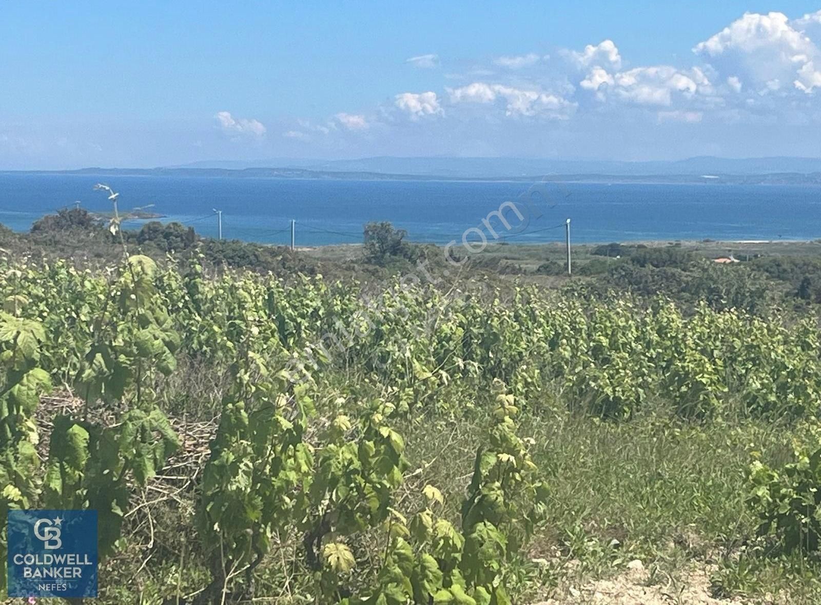 Bozcaada Cumhuriyet Satılık Bağ & Bahçe Bozcaada'da Deniz Manzaralı Bağ