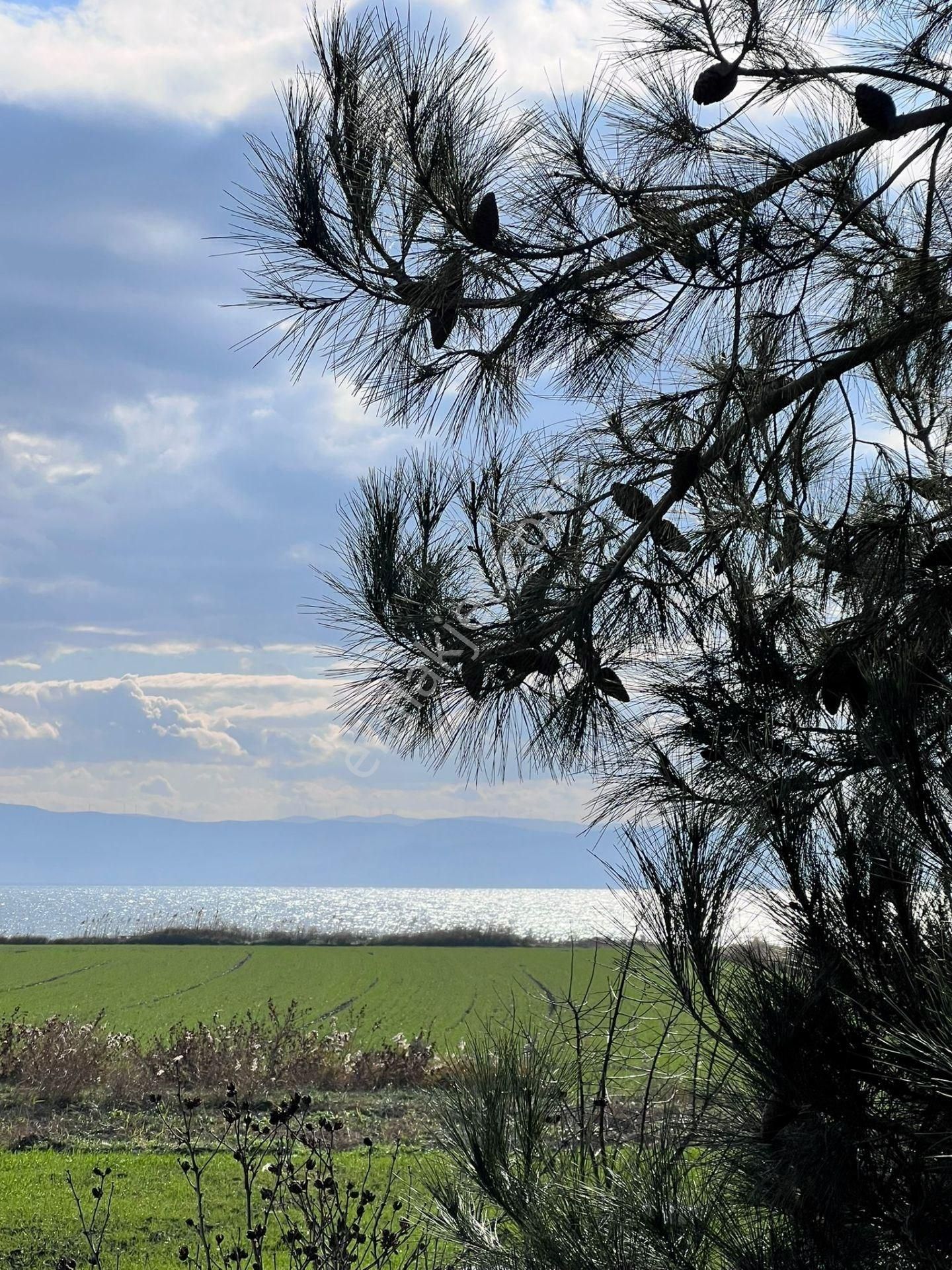 Gelibolu Bolayır Köyü (Fevziçakmak) Satılık Villa Göksu Tatil Sitesinde Yeşil Ve Mavinin Birleştiği Satılık Villa