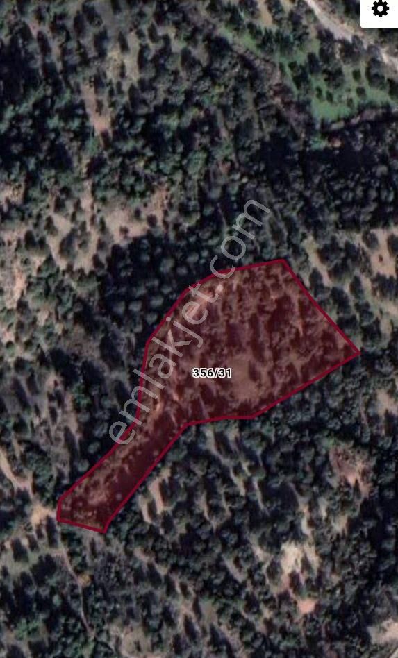 Bergama Zeytindağ.da Deniz Manzaralı Satılık 5857m2 Zeytinlik - Görsel 3