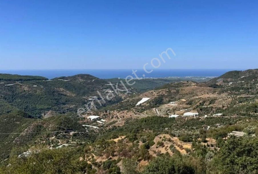 Alanya Yenice Satılık Tarla Satılık Alanya Yenice 2.159 M2 Tarla