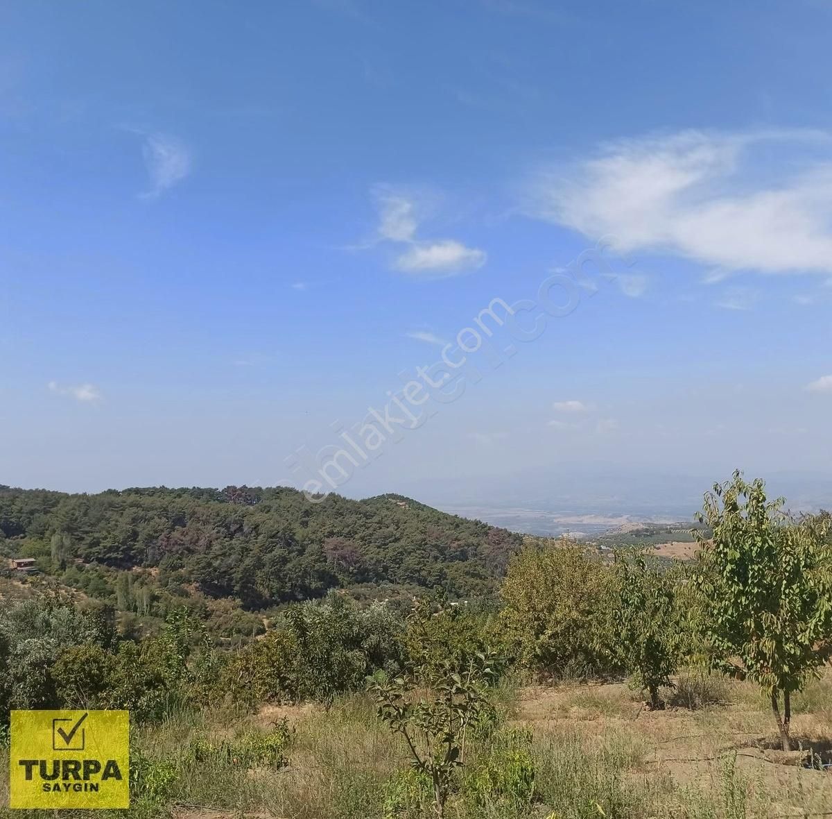 Selçuk Şirince Satılık Tarla Turpadan 13650 M2 Elektrik Su Mevcut Satılık Tarla.