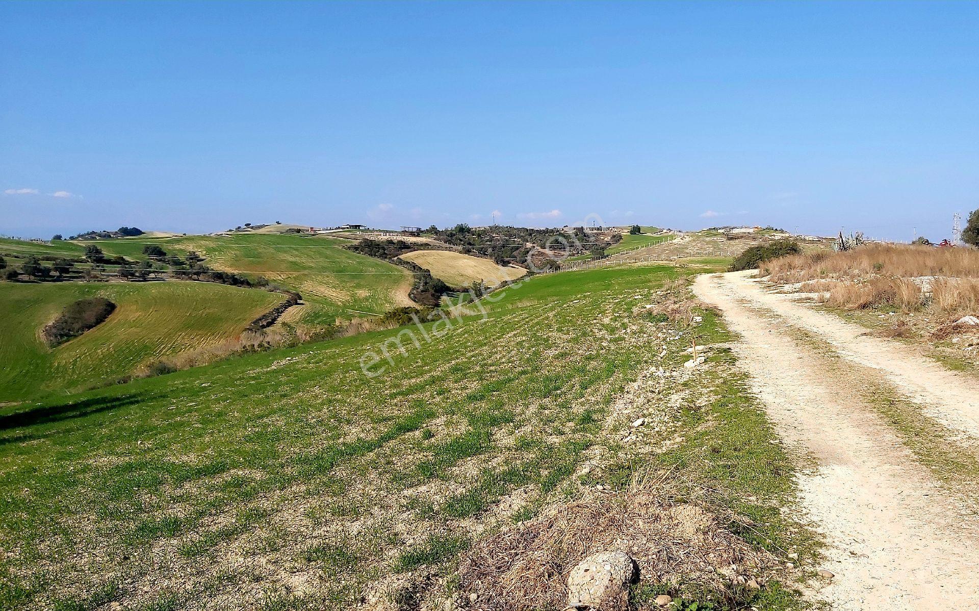 Çukurova Kabasakal Satılık Villa İmarlı Göl Manzaralı, Bulvara Yakın Arsa - Görsel 15