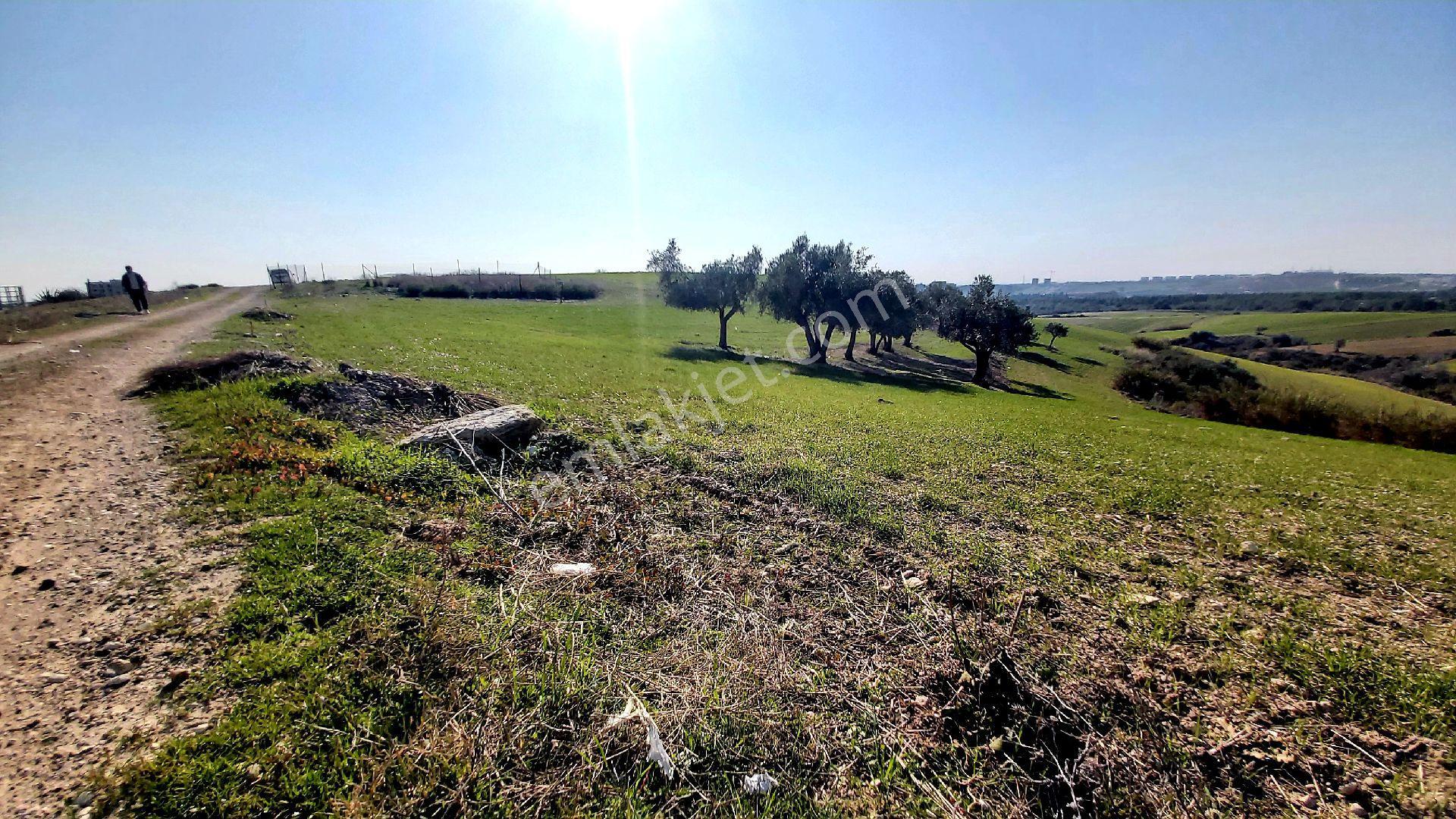 Çukurova Kabasakal Satılık Villa İmarlı Göl Manzaralı, Bulvara Yakın Arsa - Görsel 6