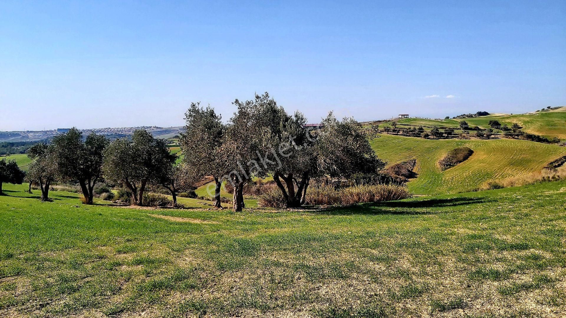 Çukurova Kabasakal Satılık Konut İmarlı Çukurova Kabasakal Satılık Villa İmarlı Göl Manzaralı, Bulvara Yakın Arsa