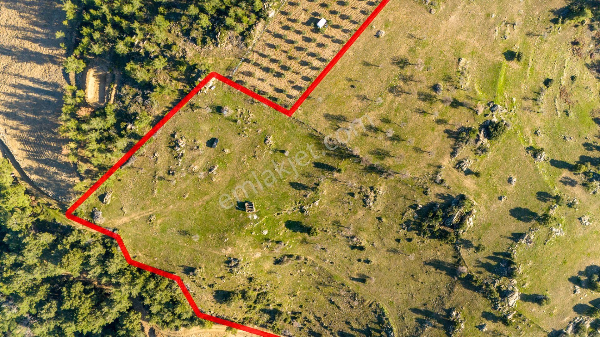 Yellice Mahallesinde Satılık 41 Dönüm Arazi - Görsel 3