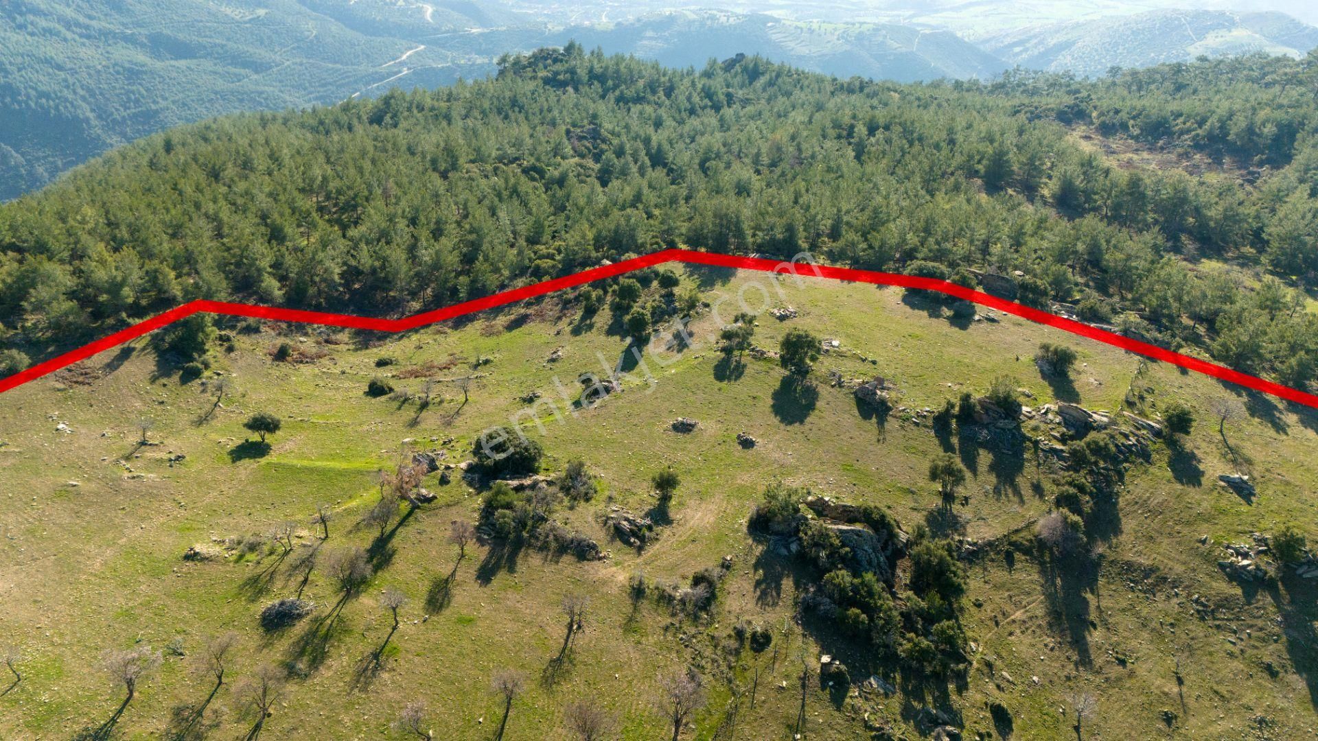 Yellice Mahallesinde Satılık 41 Dönüm Arazi - Görsel 7