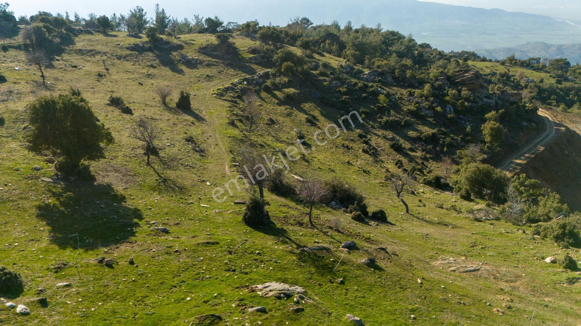 Yellice Mahallesinde Satılık 41 Dönüm Arazi - Görsel 2