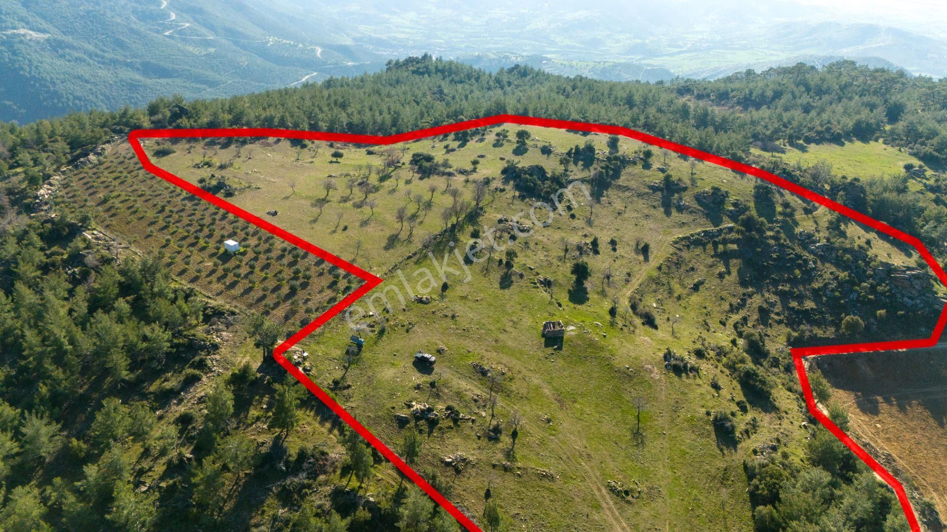 Yellice Mahallesinde Satılık 41 Dönüm Arazi - Görsel 6