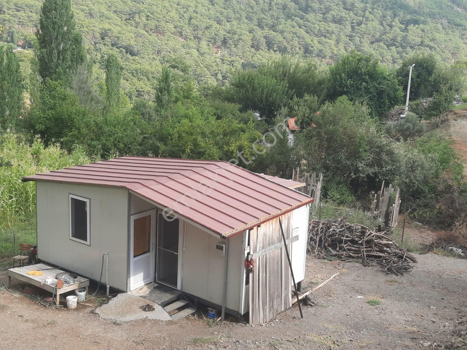 Köyceğiz Yayla Satılık Arazi Muğla Köyceğiz Ağla - Yaylada 535 M2 Arsa Ve Tiny House Ev Satılık