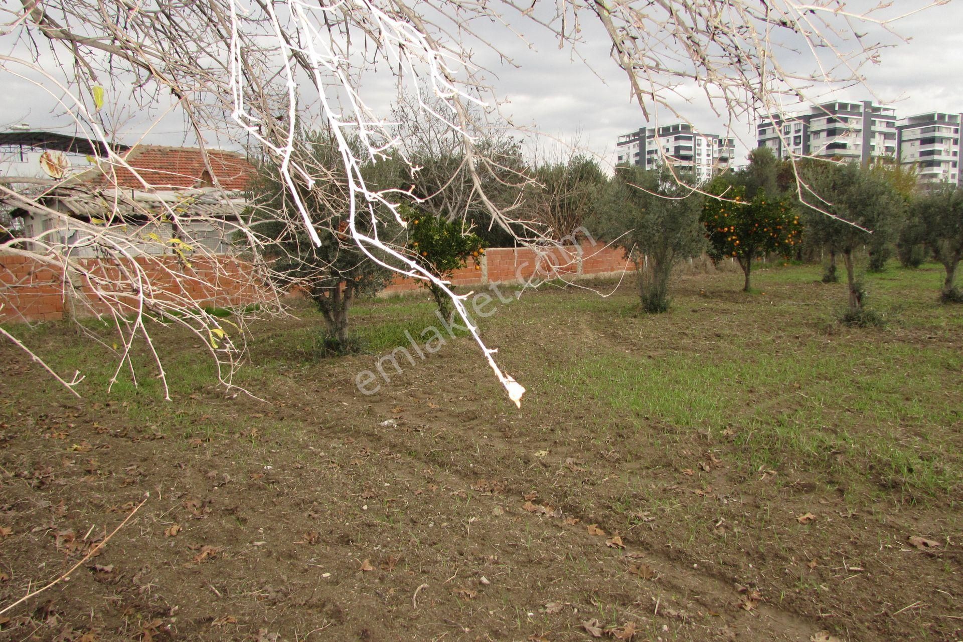 Nazilli Ocaklı Mahallesi Satılık Arsa - Görsel 6