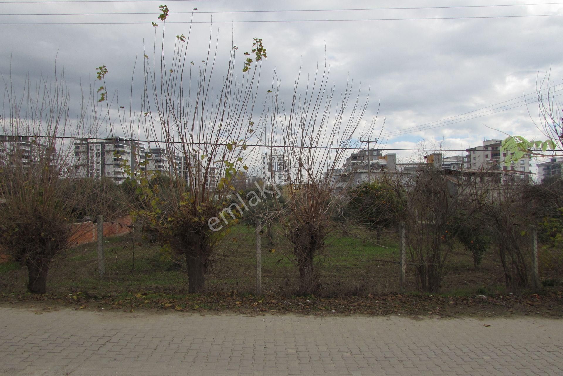 Nazilli Ocaklı Mahallesi Satılık Arsa - Görsel 7