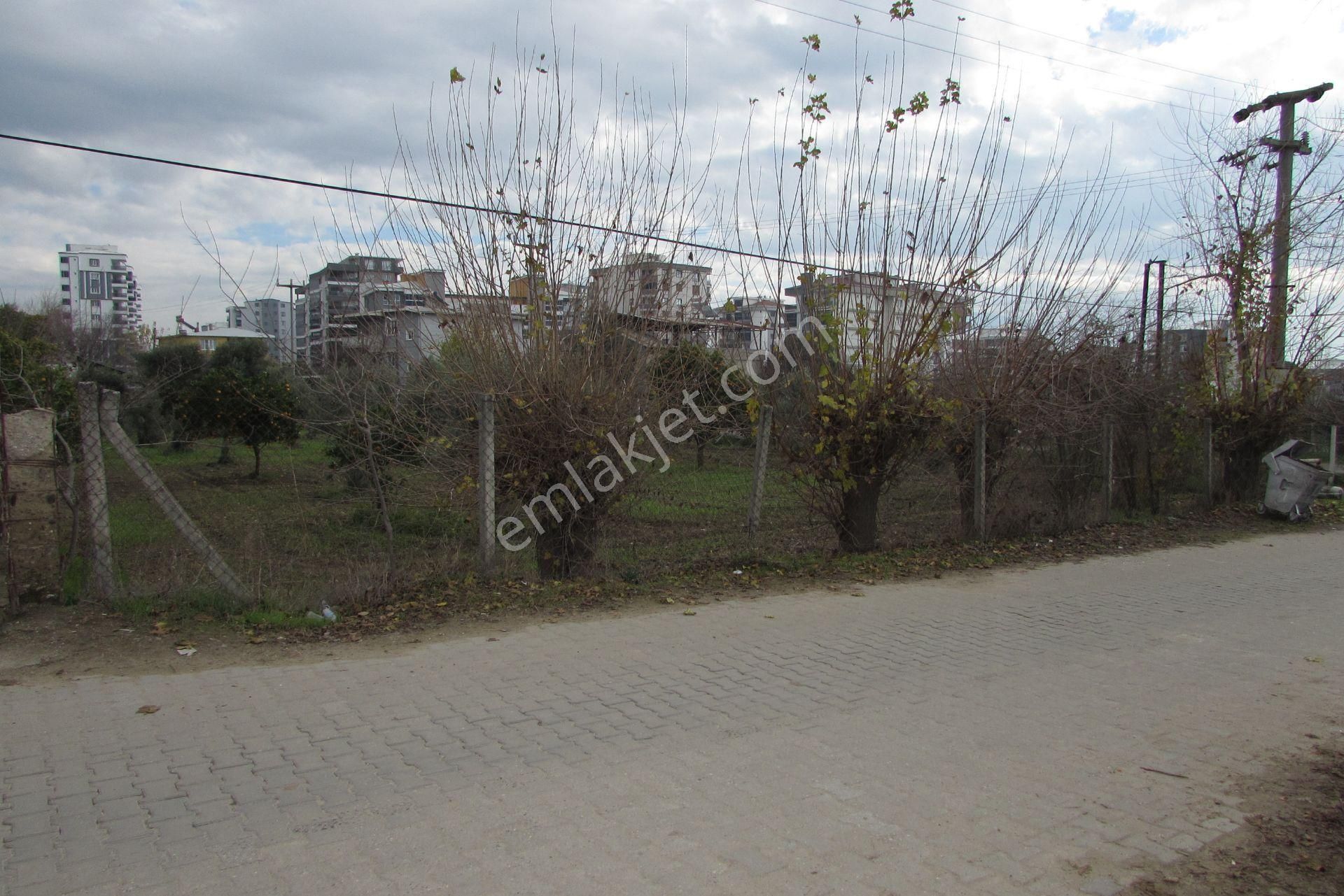 Nazilli Ocaklı Mahallesi Satılık Arsa - Görsel 8