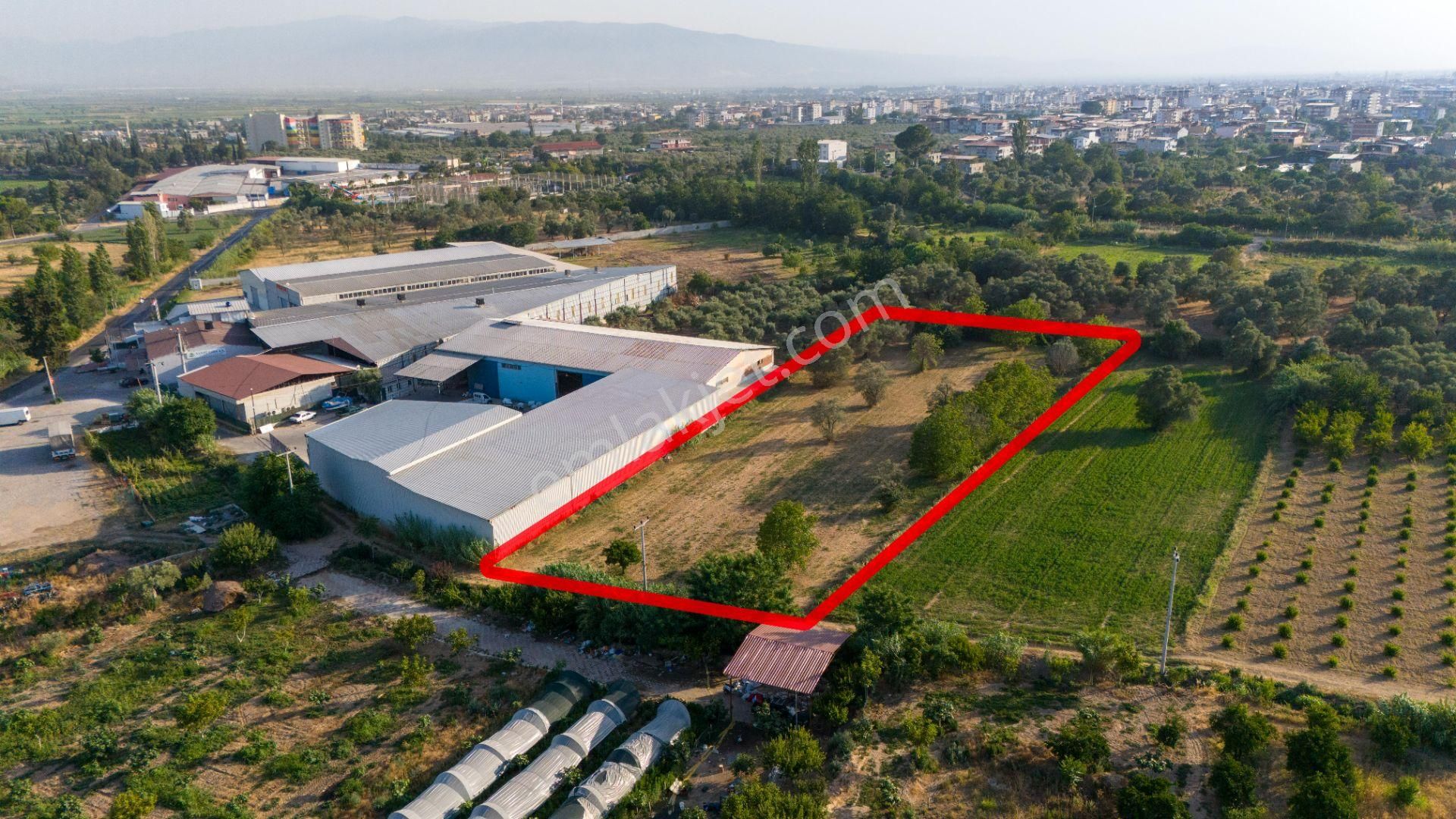 Bozyurt Mahallesinde Satılık 7 Dönüm Bahçe - Görsel 4