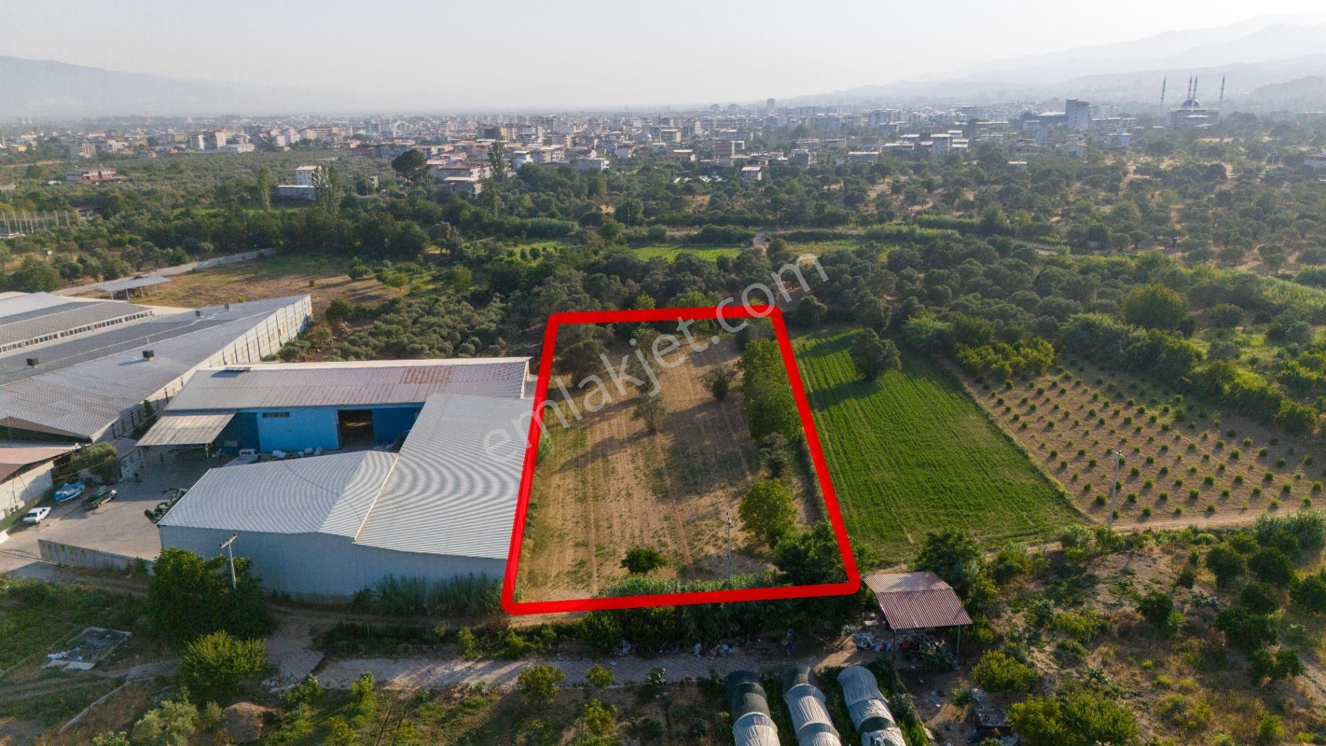 Bozyurt Mahallesinde Satılık 7 Dönüm Bahçe - Görsel 3