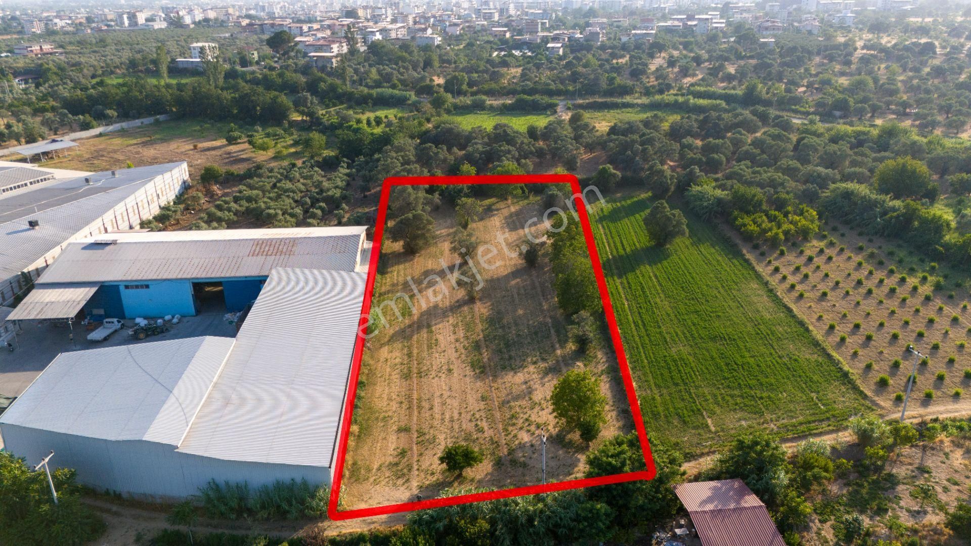 Bozyurt Mahallesinde Satılık 7 Dönüm Bahçe - Görsel 2