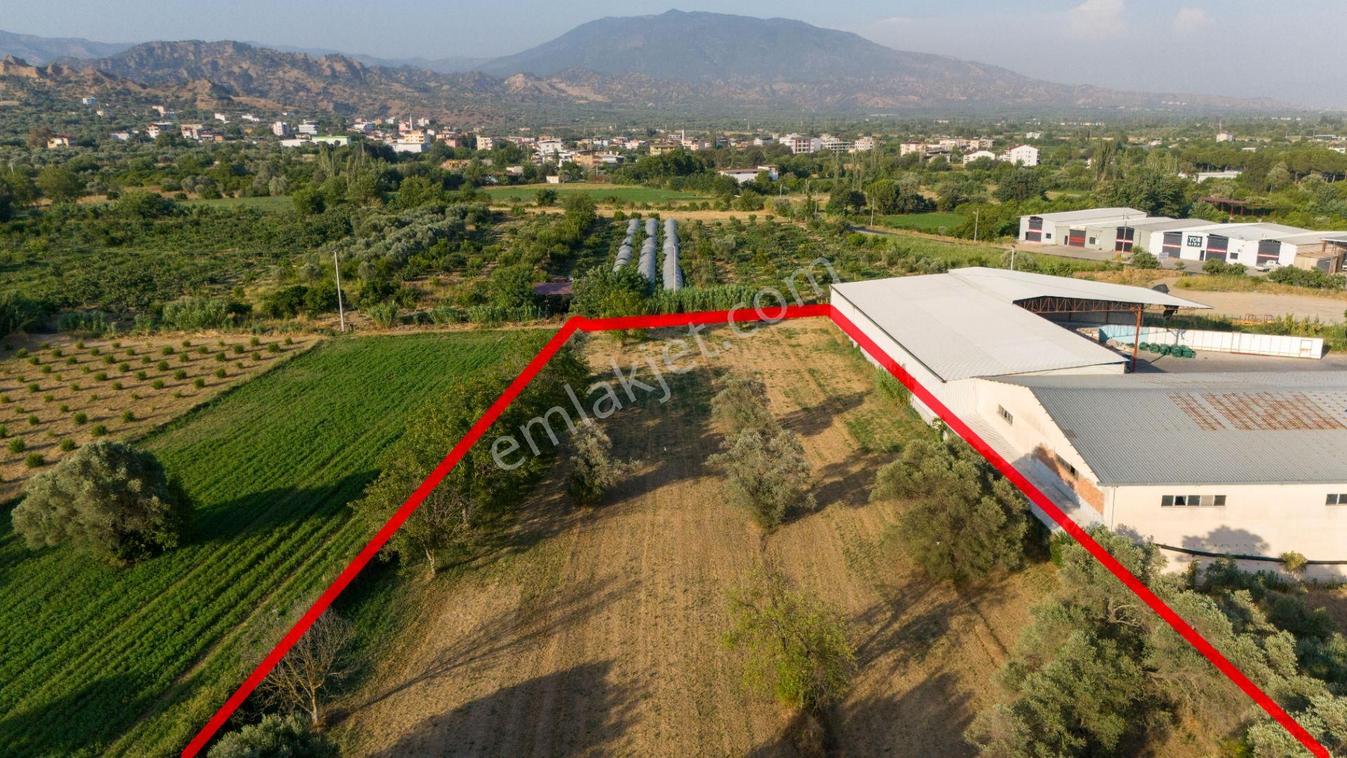 Bozyurt Mahallesinde Satılık 7 Dönüm Bahçe - Görsel 8