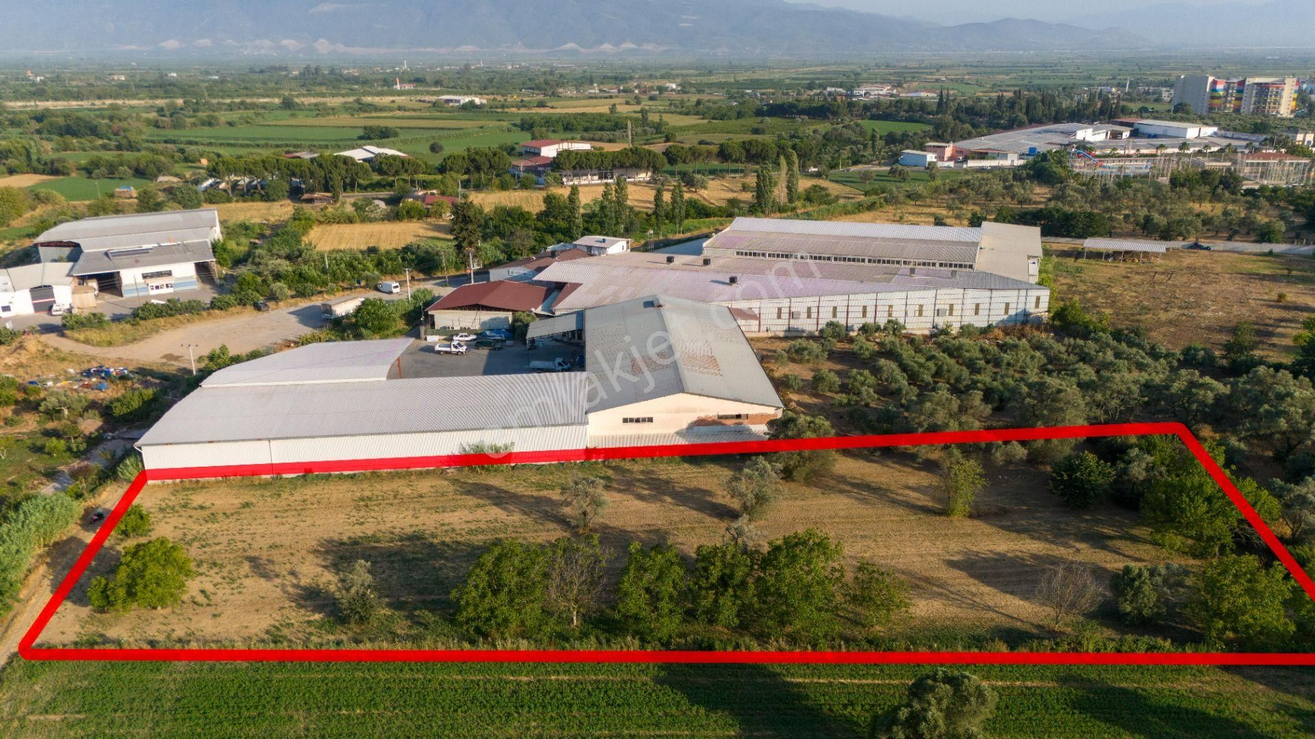 Bozyurt Mahallesinde Satılık 7 Dönüm Bahçe - Görsel 5